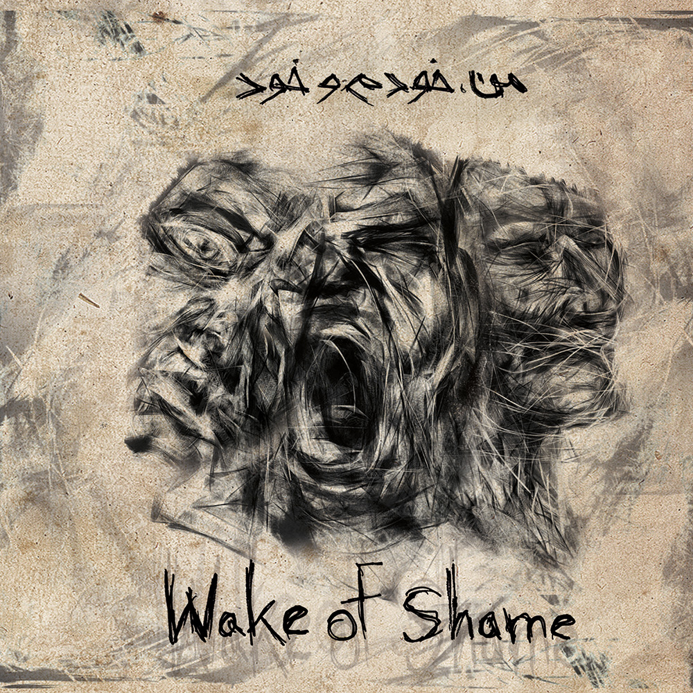 Don t shame me. Shame me. shame on me. only shams.